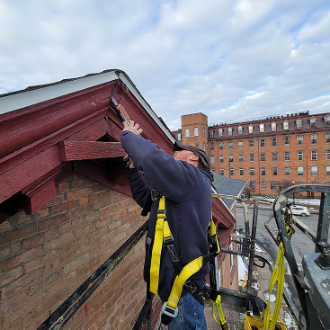 Commercial Pest Control