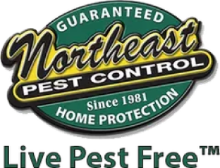 Northeast Pest Control