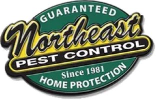Northeast Pest Control